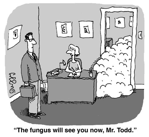 'The fungus will see you now, Mr. Todd.'