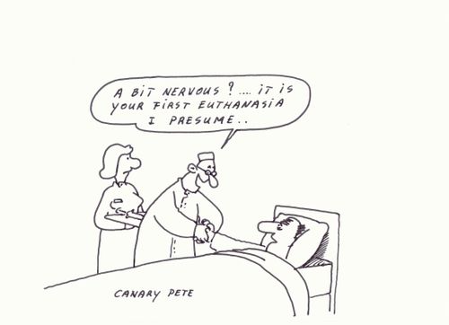"A bit nervous.. It is your first euthanasia I presume."