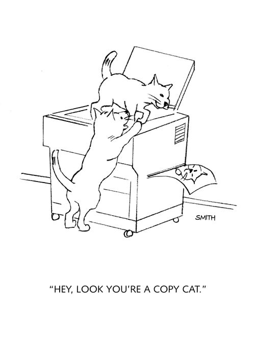 "Hey, look you're a copy cat."