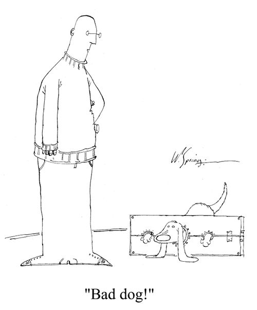 'Bad dog!'