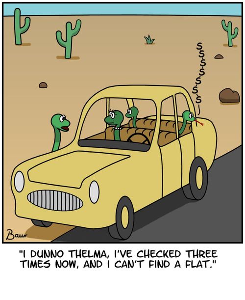 'I don't know, Thelma, I've checked three times now, and I can't find a flat.'