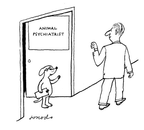'Animal Psychiatrist' (a dog).