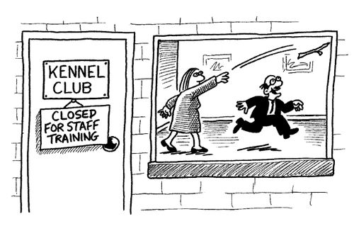Kennel Club is closed for staff training