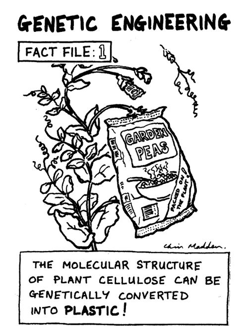 "Genetic engineering...Fact File 1"