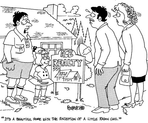 'It's a beautiful home with the exception of a little radon gas."