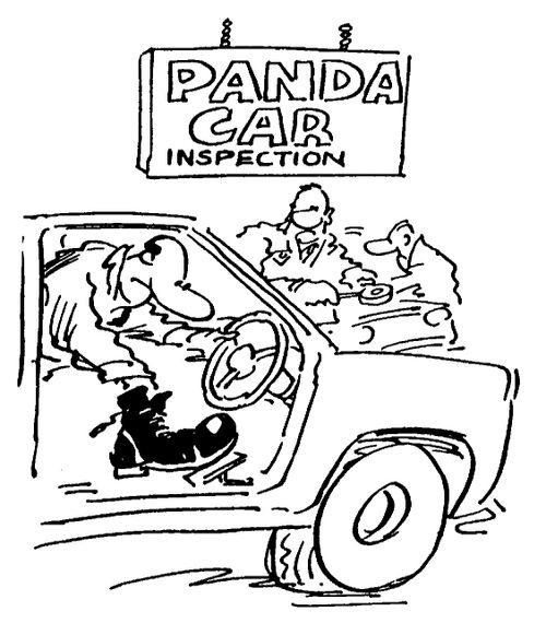 Panda Car Inspection