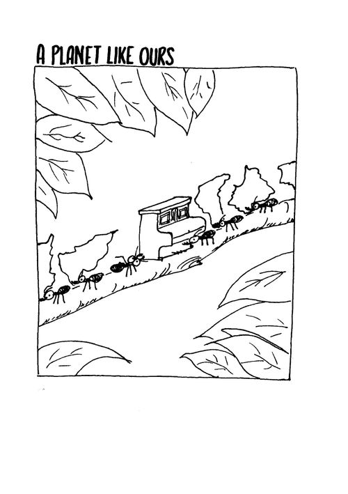 A planet like ours - Ants carrying a piano.