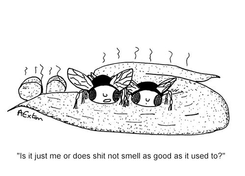 'Is it just me or does sht not smell as good as it used to'