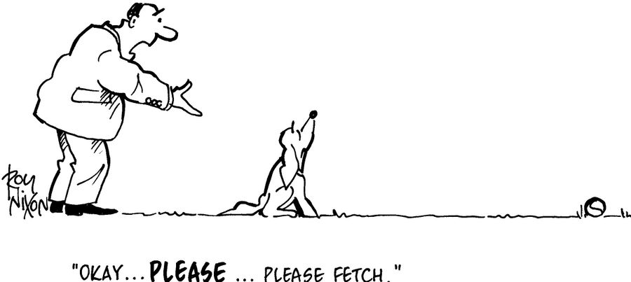 'Okay...PLEASE...please fetch.'