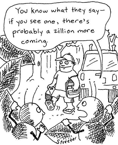 Ants watching human invasion.
