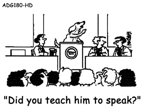 "Did you teach him to speak?"