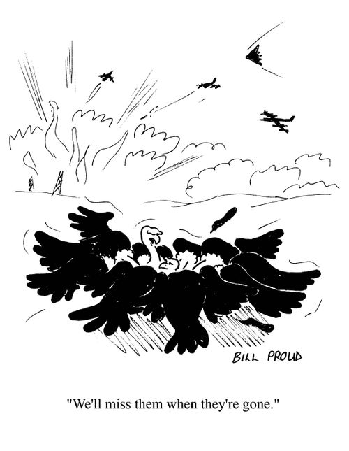 'We'll miss them when they're gone.'