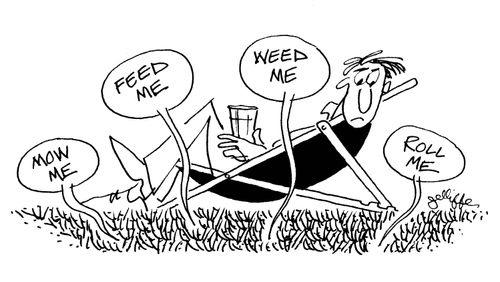 Grass saying: mow me/feed me/weed me/roll me.