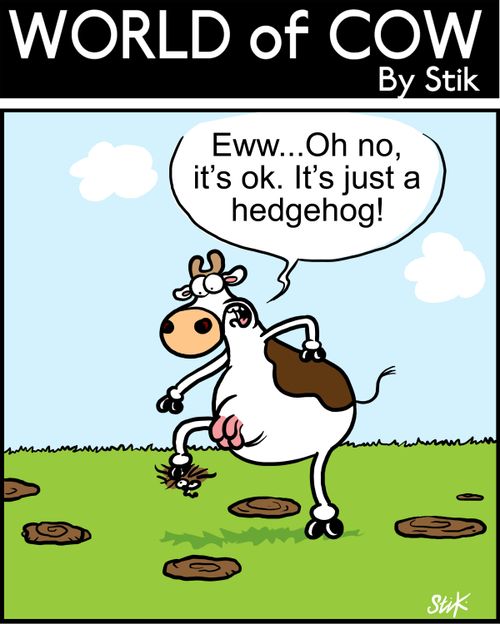 Eww..Oh no, it's ok. It's just a hedgehog!