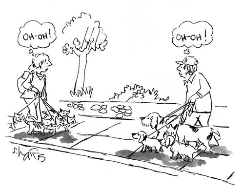 Dog walker / Cat walker. 