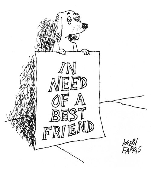 In Need of A Best Friend.