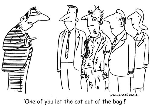 'One of you let the cat out of the bag !'