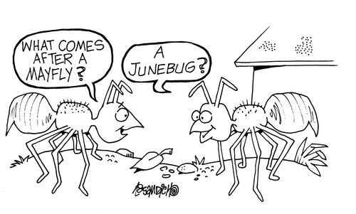 'What comes after a mayfly?' 'A junebug?'