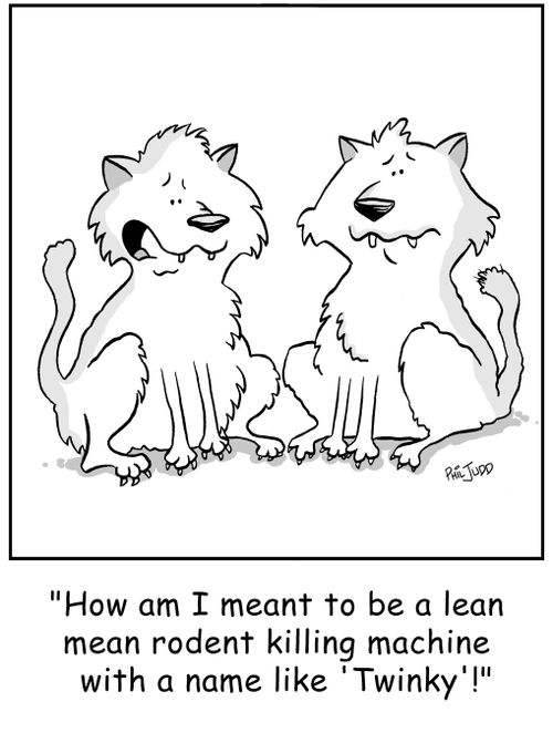 'How am I meant to be a lean mean rodent killing machine  with a name like 'Twinky'!'