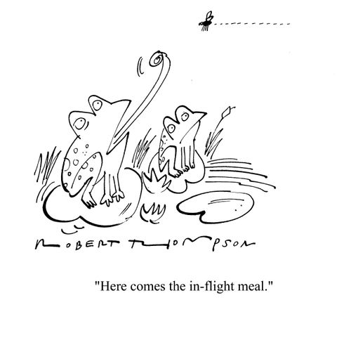 'Here comes the in-flight meal.'