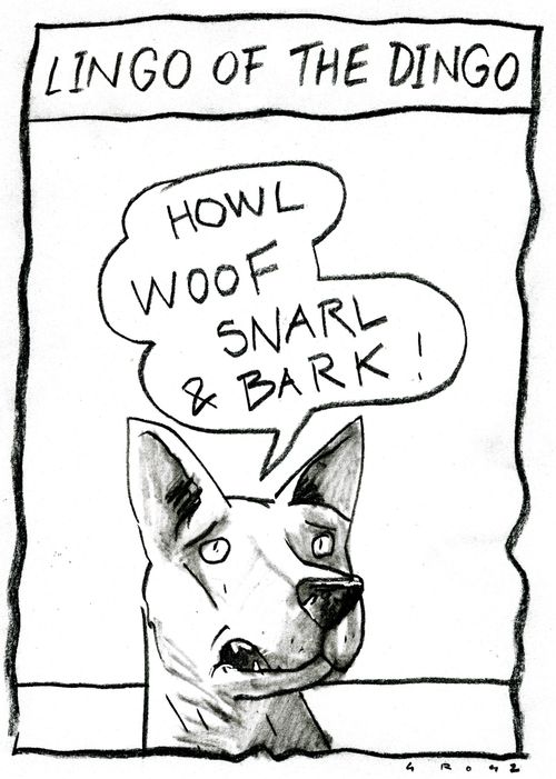 Lingo Of The Dingo.