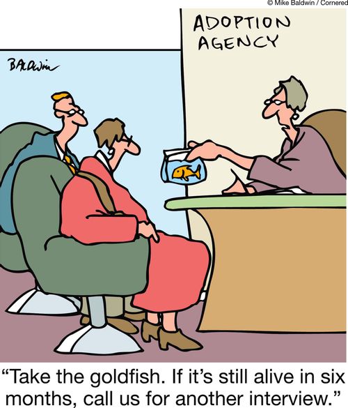 "Take the goldfish. If it's still alive in six months, call us for another interview."