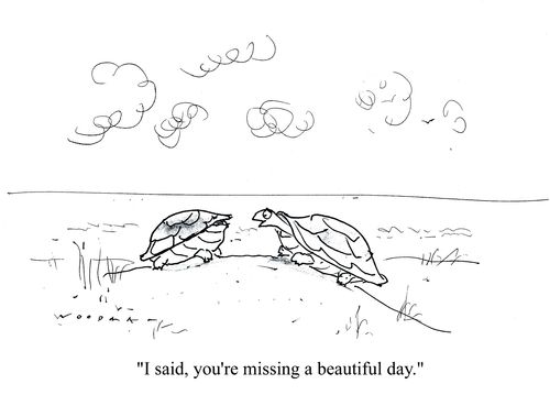 'I said, you're missing a beautiful day.'