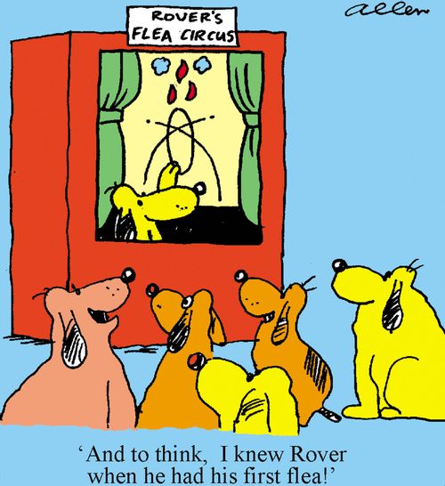 'And to think I knew Rover when he had his first flea.'