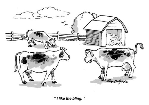 'I like the bling.'