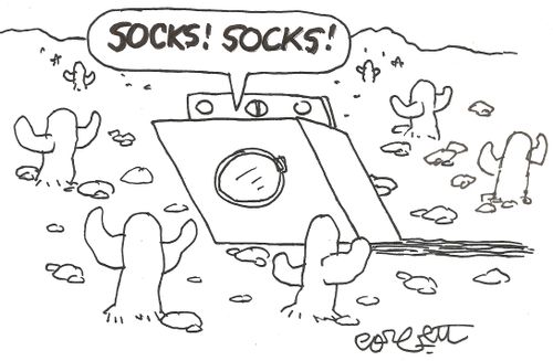 'Socks!  Socks!'