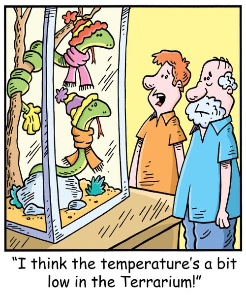 'I think the temperature's a bit low in the Terrarium!'
