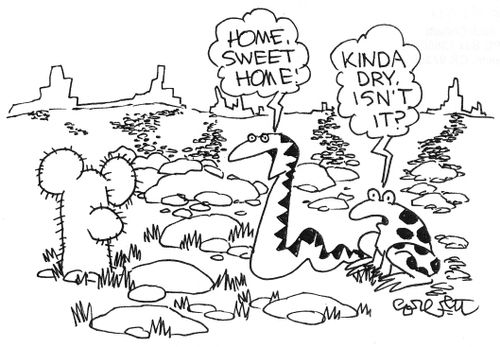 Snake in desert: 'home, sweet home'  Frog: 'kinda dry, isn't it?'