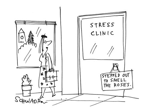 Stress Clinic: 'Stepped out to smell the roses.'