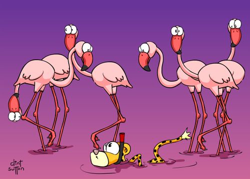 Marmalade with a snorkel in flamingos.