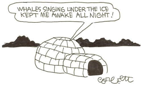 'Whales singing under the ice kept me awake all night!'