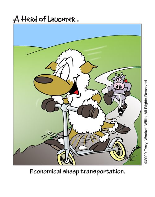 Economical sheep transportation.