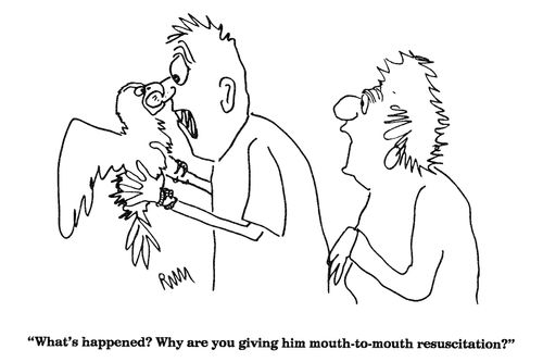 'What's happened?  Why are you giving him mouth-to-mouth resuscitation?'
