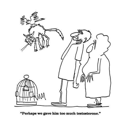 'Perhaps we gave him too much testosterone.'