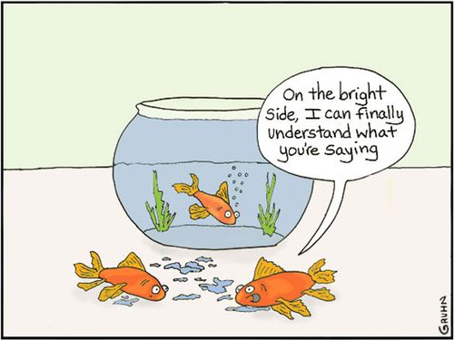 'On the bright side I can finally understand what your saying.'