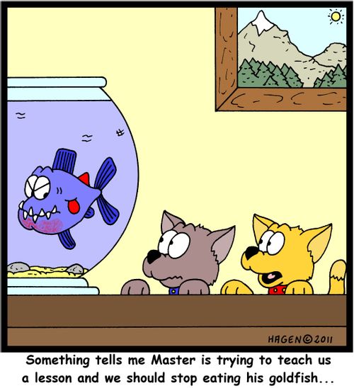 'Something tells me Master is trying to teach us a lesson and we should stop eating his goldfish...'
