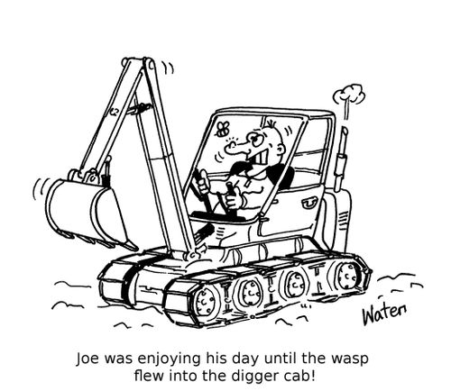 Joe was enjoying his day until the wasp flew into the digger cab!