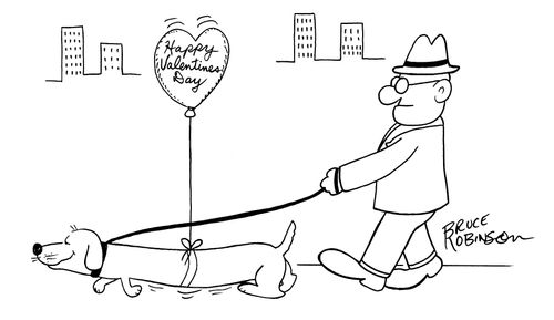 Man is walking his dachshund with a Happy Valentines Day balloon tied around dog's belly lifting it off of the sidewalk.