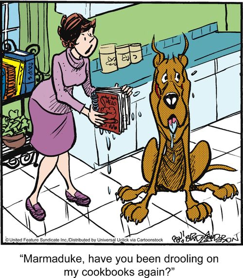 'Marmaduke, have you been drooling on my cookbooks again?'