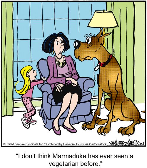 'I don't think Marmaduke has ever seen a vegetarian before.'