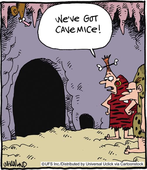 'We've got cavemice!'