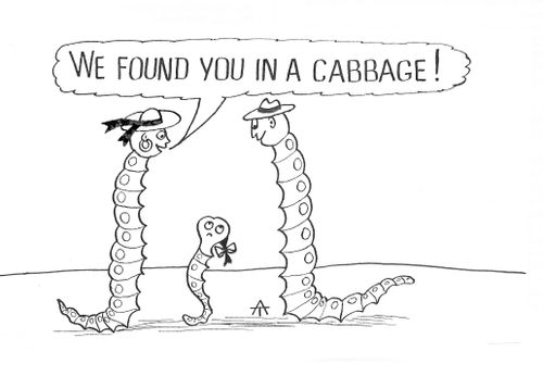 'We found you in a cabbage!'
