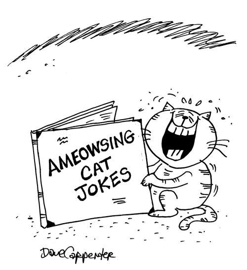Cat laughs at 'Ameowsing Cat Jokes.'
