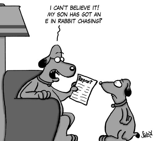 'I can't believe it! MY son has got an E in rabbit chasing?'