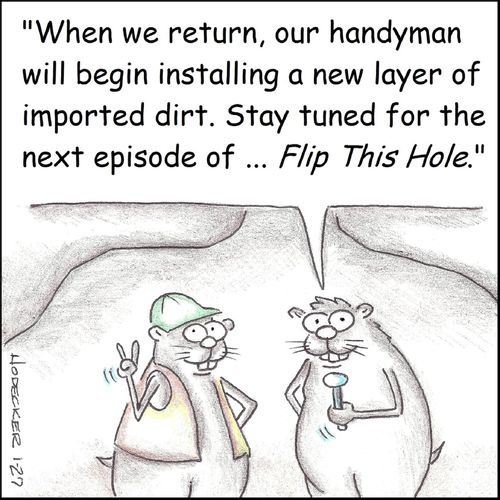 'When we return, our handyman will begin installing a new layer of imported dirt. Stay tuned for the next episode of ... Flip This Hole.'