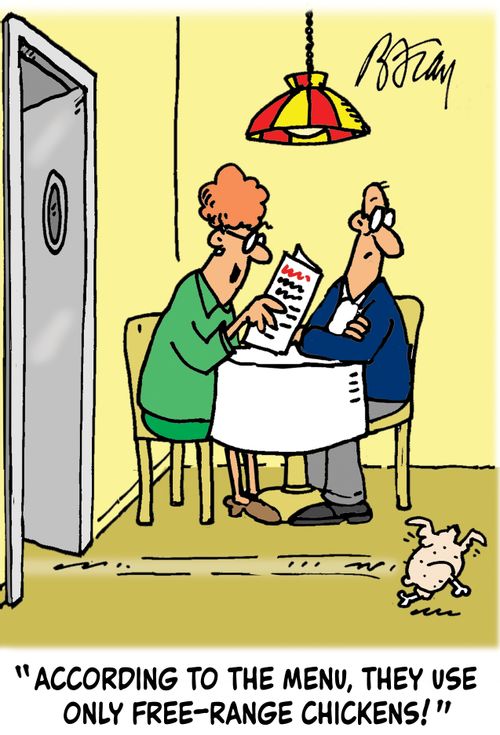 'According to the menu, they use only free-range chickens!'